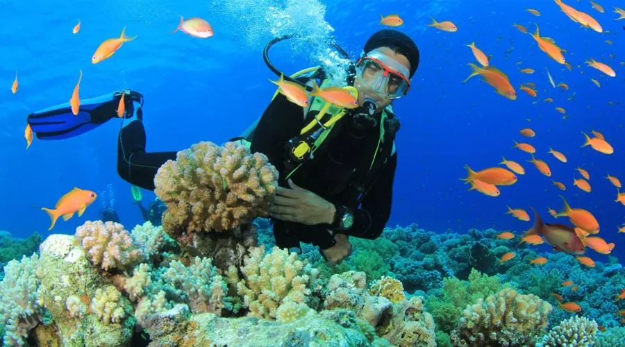 Water Sports In Andaman Islands